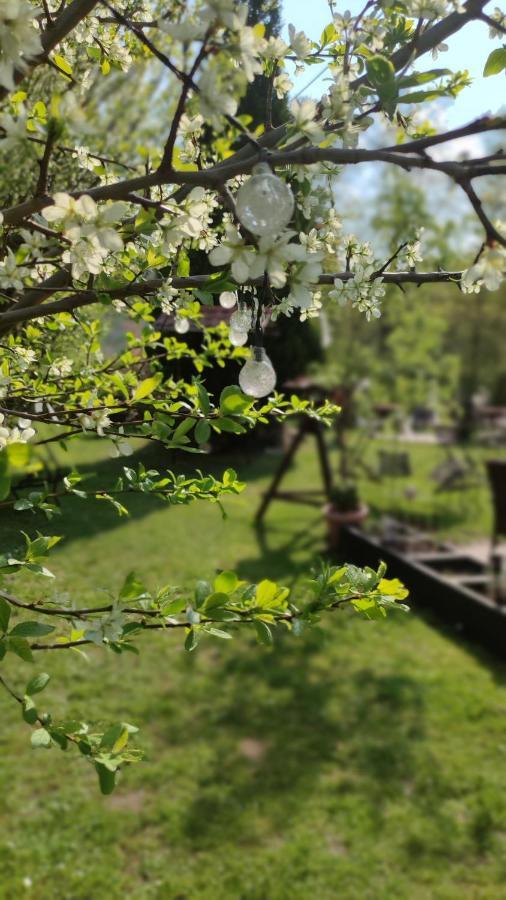 Schlossparkhotel Hotel 3*