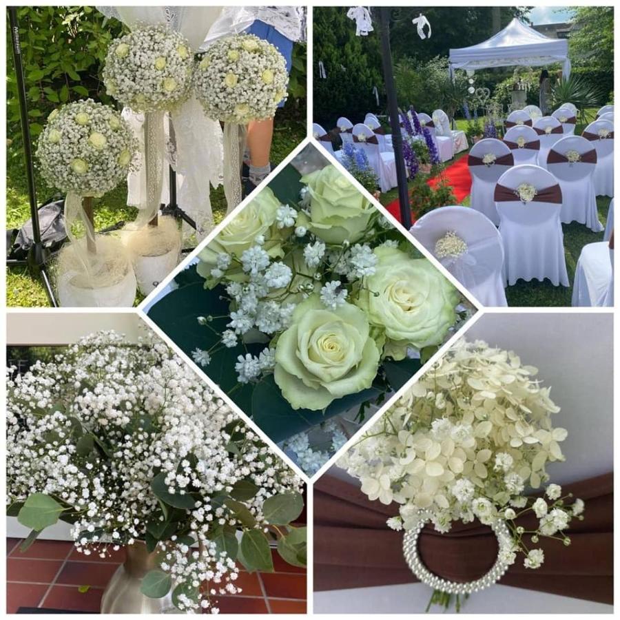 Hotel Schlossparkhotel Sallgast